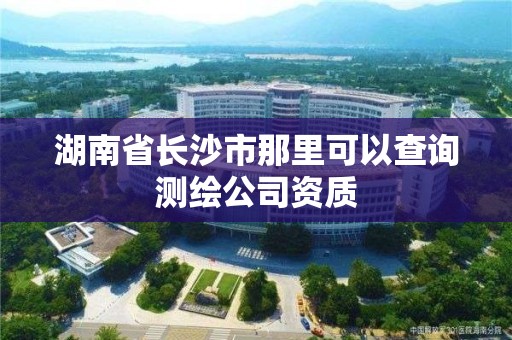 湖南省长沙市那里可以查询测绘公司资质