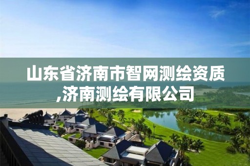 山东省济南市智网测绘资质,济南测绘有限公司 山东省济南市智网测绘资质,济南测绘有限公司