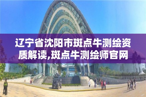 辽宁省沈阳市斑点牛测绘资质解读,斑点牛测绘师官网