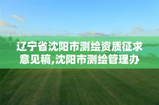 辽宁省沈阳市测绘资质征求意见稿,沈阳市测绘管理办公室 辽宁省沈阳市测绘资质征求意见稿,沈阳市测绘管理办公室