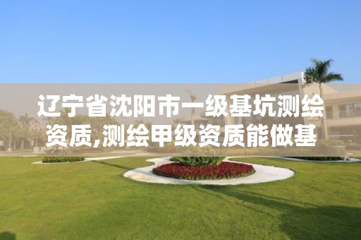 辽宁省沈阳市一级基坑测绘资质,测绘甲级资质能做基坑监测吗。