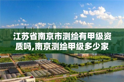 江苏省南京市测绘有甲级资质吗,南京测绘甲级多少家 江苏省南京市测绘有甲级资质吗,南京测绘甲级多少家
