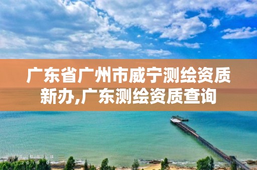 广东省广州市威宁测绘资质新办,广东测绘资质查询