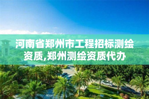河南省郑州市工程招标测绘资质,郑州测绘资质代办