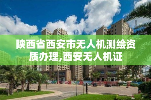 陕西省西安市无人机测绘资质办理,西安无人机证 陕西省西安市无人机测绘资质办理,西安无人机证