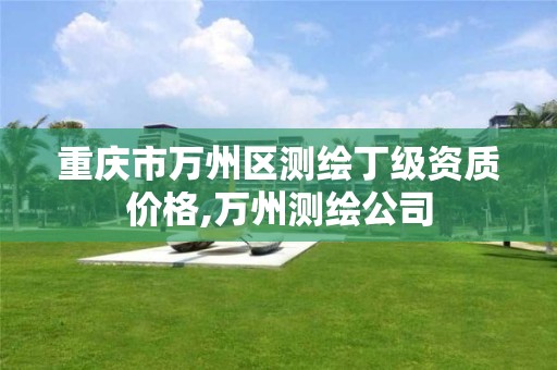 重庆市万州区测绘丁级资质价格,万州测绘公司