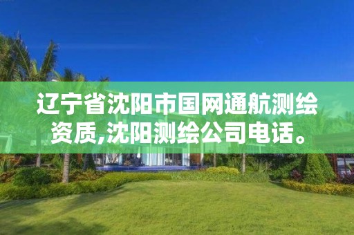 辽宁省沈阳市国网通航测绘资质,沈阳测绘公司电话。 辽宁省沈阳市国网通航测绘资质,沈阳测绘公司电话。