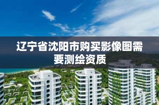 辽宁省沈阳市购买影像图需要测绘资质 辽宁省沈阳市购买影像图需要测绘资质