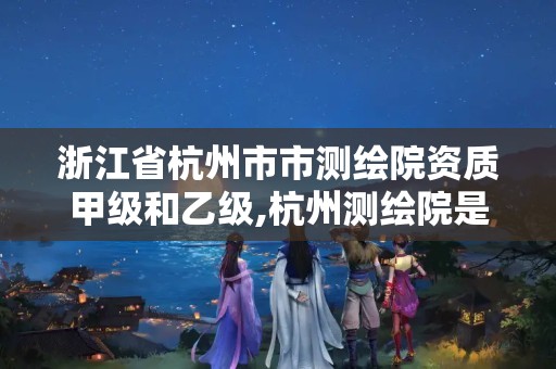 浙江省杭州市市测绘院资质甲级和乙级,杭州测绘院是什么单位。