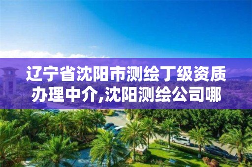 辽宁省沈阳市测绘丁级资质办理中介,沈阳测绘公司哪家强哪家好 辽宁省沈阳市测绘丁级资质办理中介,沈阳测绘公司哪家强哪家好