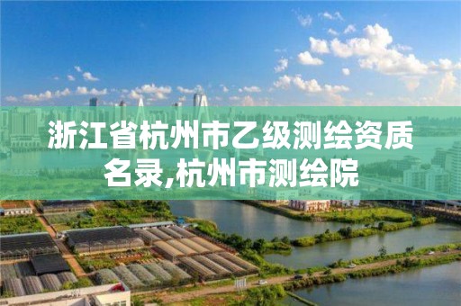 浙江省杭州市乙级测绘资质名录,杭州市测绘院
