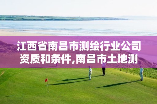 江西省南昌市测绘行业公司资质和条件,南昌市土地测绘工程公司。