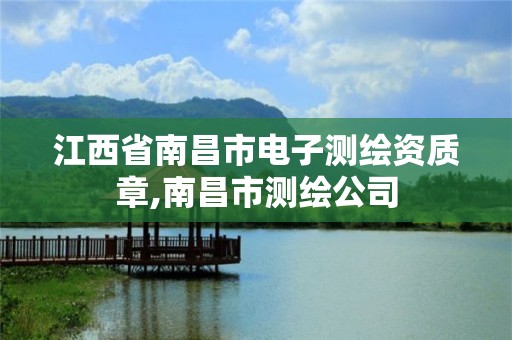 江西省南昌市电子测绘资质章,南昌市测绘公司 江西省南昌市电子测绘资质章,南昌市测绘公司