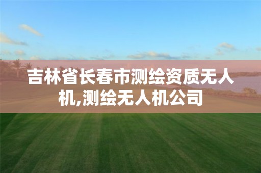 吉林省长春市测绘资质无人机,测绘无人机公司 吉林省长春市测绘资质无人机,测绘无人机公司