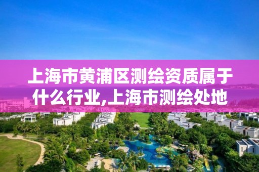 上海市黄浦区测绘资质属于什么行业,上海市测绘处地址