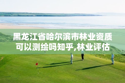 黑龙江省哈尔滨市可以测绘吗知乎,林业评估资质。