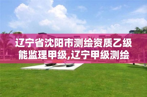 辽宁省沈阳市测绘资质乙级能监理甲级,辽宁甲级测绘单位。