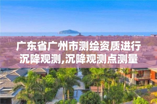 广东省广州市测绘资质进行沉降观测,沉降观测点测量