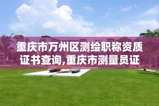 重庆市万州区测绘职称资质证书查询,重庆市测量员证书查询。 重庆市万州区测绘职称资质证书查询,重庆市测量员证书查询。