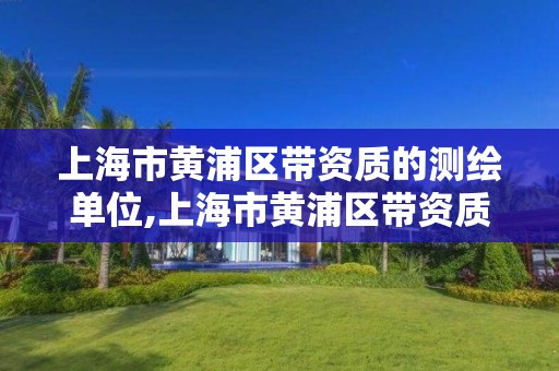 上海市黄浦区带资质的测绘单位,上海市黄浦区带资质的测绘单位有哪些。 上海市黄浦区带资质的测绘单位,上海市黄浦区带资质的测绘单位有哪些。