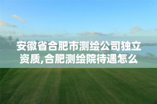 安徽省合肥市测绘公司独立资质,合肥测绘院待遇怎么样 安徽省合肥市测绘公司独立资质,合肥测绘院待遇怎么样