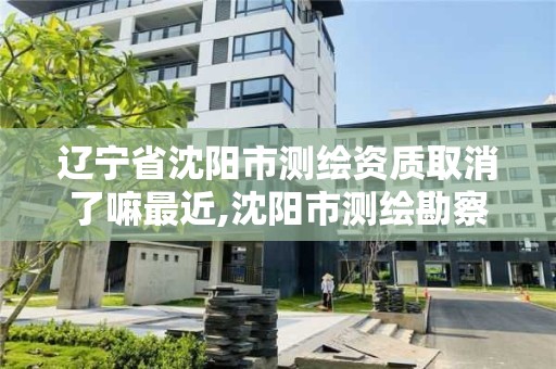 辽宁省沈阳市测绘资质取消了嘛最近,沈阳市测绘勘察研究院 辽宁省沈阳市测绘资质取消了嘛最近,沈阳市测绘勘察研究院