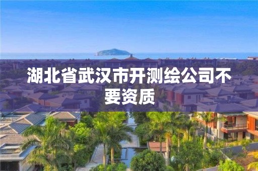 湖北省武汉市开测绘公司不要资质