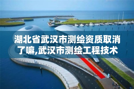 湖北省武汉市测绘资质取消了嘛,武汉市测绘工程技术规定