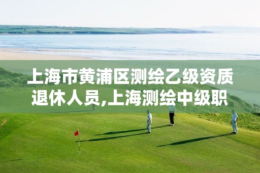 上海市黄浦区测绘乙级资质退休人员,上海测绘中级职称
