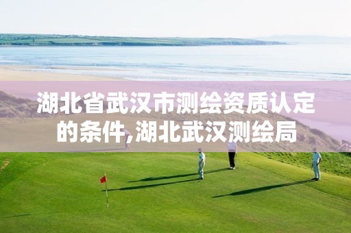 湖北省武汉市测绘资质认定的条件,湖北武汉测绘局 湖北省武汉市测绘资质认定的条件,湖北武汉测绘局