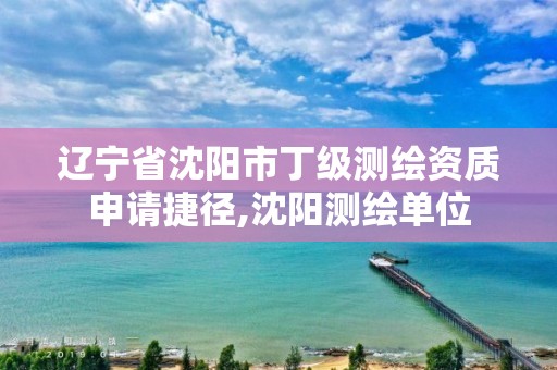 辽宁省沈阳市丁级测绘资质申请捷径,沈阳测绘单位 辽宁省沈阳市丁级测绘资质申请捷径,沈阳测绘单位