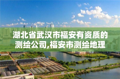 湖北省武汉市福安有资质的测绘公司,福安市测绘地理信息中心