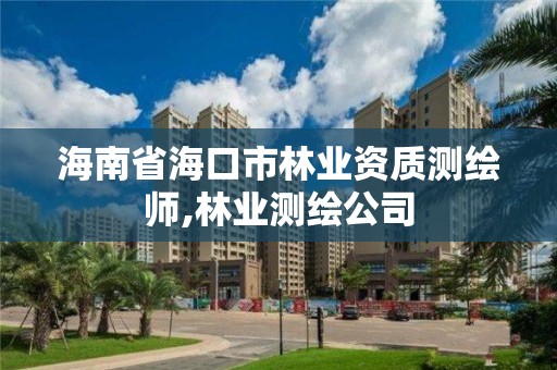 海南省海口市测绘师,林业测绘公司