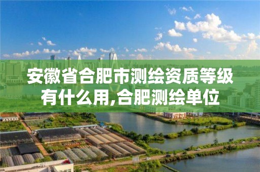 安徽省合肥市测绘资质等级有什么用,合肥测绘单位 安徽省合肥市测绘资质等级有什么用,合肥测绘单位