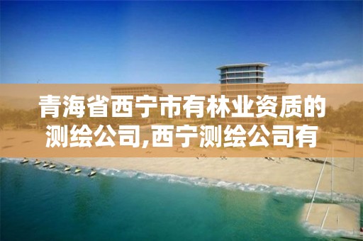 青海省西宁市有的测绘公司,西宁测绘公司有哪些。