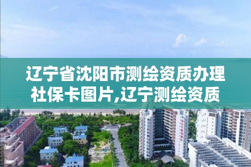辽宁省沈阳市测绘资质办理社保卡图片,辽宁测绘资质查询。 辽宁省沈阳市测绘资质办理社保卡图片,辽宁测绘资质查询。