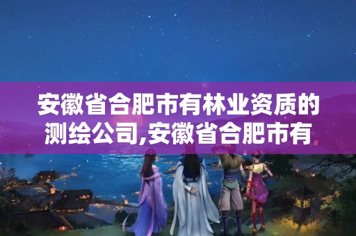 安徽省合肥市有的测绘公司有几家。