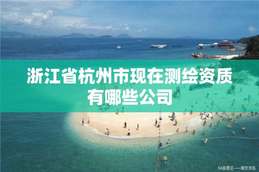 浙江省杭州市现在测绘资质有哪些公司 浙江省杭州市现在测绘资质有哪些公司