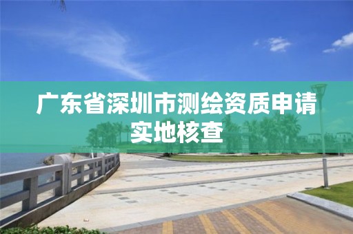 广东省深圳市测绘资质申请实地核查 广东省深圳市测绘资质申请实地核查