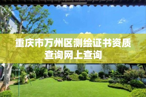 重庆市万州区测绘证书资质查询网上查询