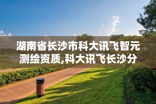 湖南省长沙市科大讯飞智元测绘资质,科大讯飞长沙分公司。 湖南省长沙市科大讯飞智元测绘资质,科大讯飞长沙分公司。