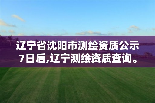 辽宁省沈阳市测绘资质公示7日后,辽宁测绘资质查询。