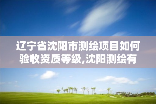 辽宁省沈阳市测绘项目如何验收资质等级,沈阳测绘有限公司。 辽宁省沈阳市测绘项目如何验收资质等级,沈阳测绘有限公司。
