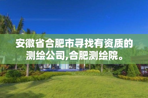 安徽省合肥市寻找有资质的测绘公司,合肥测绘院。