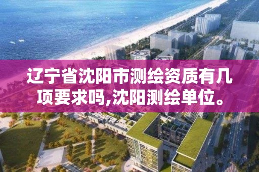 辽宁省沈阳市测绘资质有几项要求吗,沈阳测绘单位。 辽宁省沈阳市测绘资质有几项要求吗,沈阳测绘单位。