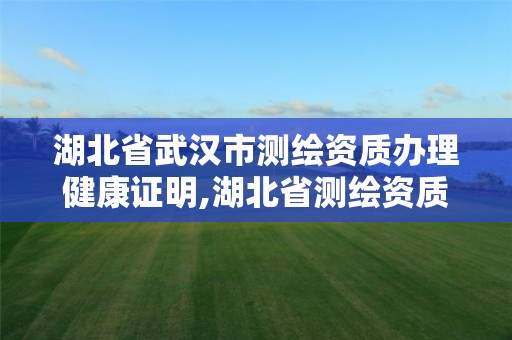 湖北省武汉市测绘资质办理健康证明,湖北省测绘资质申请。 湖北省武汉市测绘资质办理健康证明,湖北省测绘资质申请。