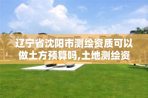 辽宁省沈阳市测绘资质可以做土方预算吗,土地测绘资质。
