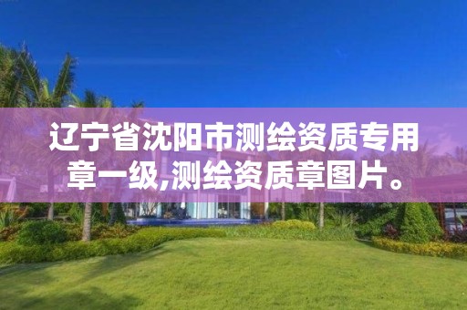 辽宁省沈阳市测绘资质专用章一级,测绘资质章图片。 辽宁省沈阳市测绘资质专用章一级,测绘资质章图片。