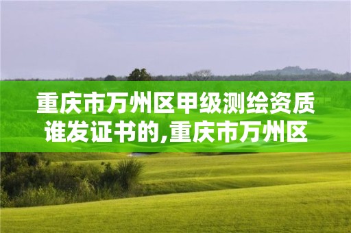 重庆市万州区甲级测绘资质谁发证书的,重庆市万州区甲级测绘资质谁发证书的啊。