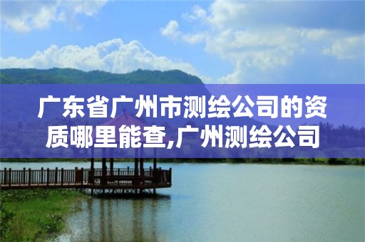 广东省广州市测绘公司的资质哪里能查,广州测绘公司有哪些。 广东省广州市测绘公司的资质哪里能查,广州测绘公司有哪些。